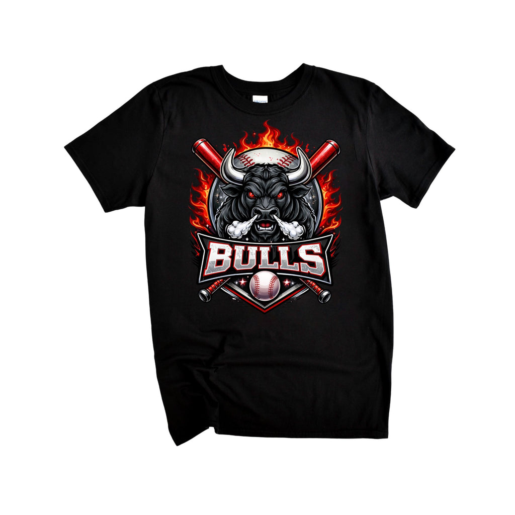 2026  BULLS 10U BASEBALL